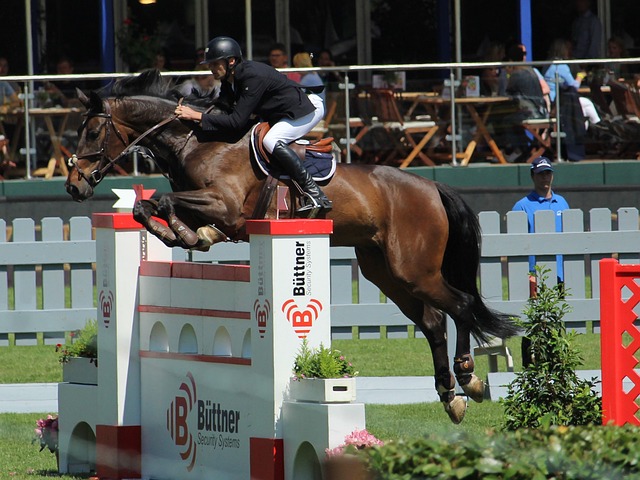 目的怀疑 目的怀疑