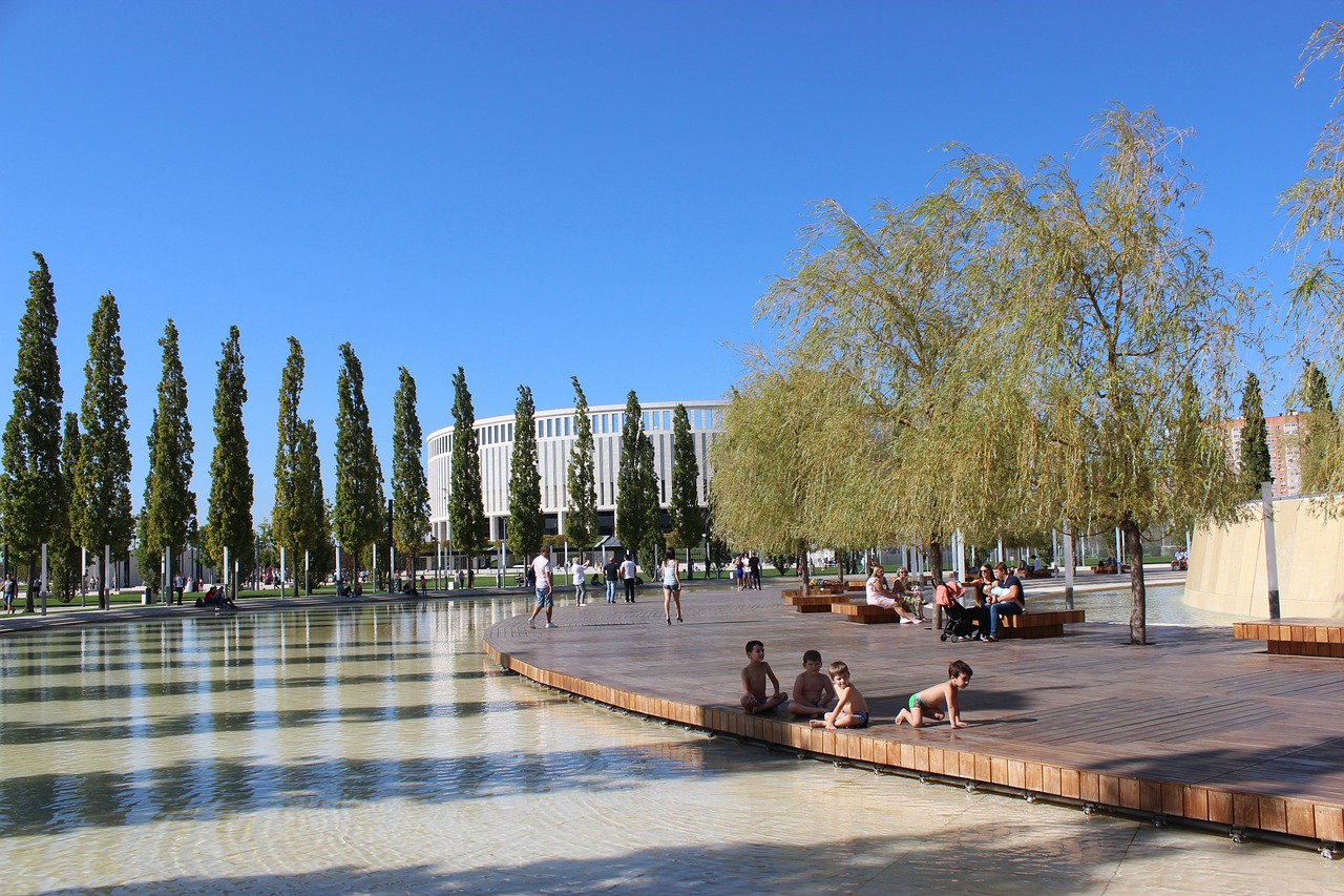 的表现不仅 的表现不仅