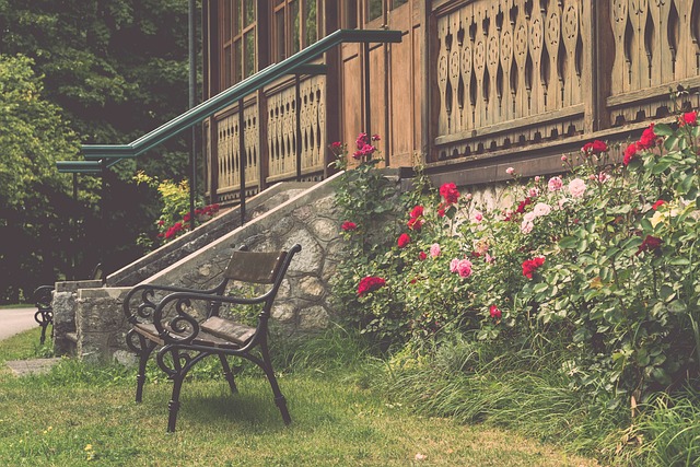 的成功经验 的成功经验